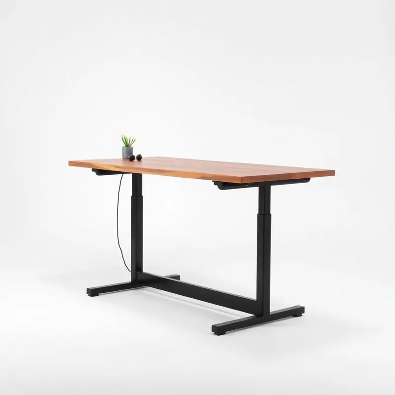 Vari Electric Standing Desk 60x30
